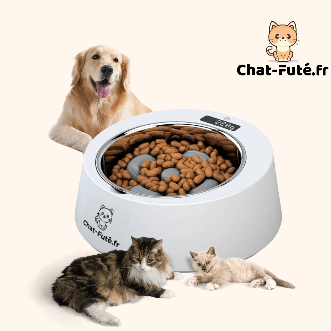 Gamelle Intelligente pour des Repas Équilibrés au Gramme Près ! - Chat - FutéGamelle Intelligente pour des Repas Équilibrés au Gramme Près !Chat - Futé