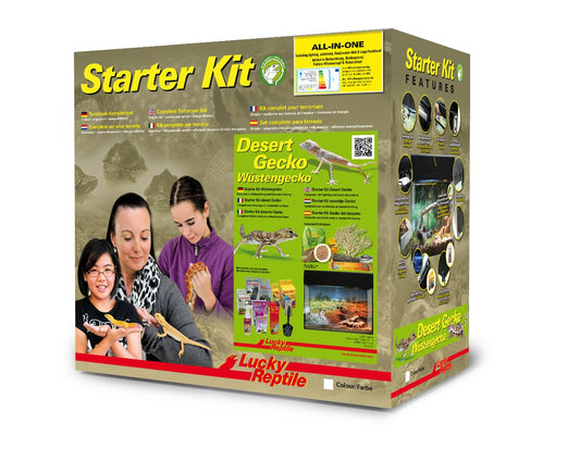 Starter Kit "Desert Gecko" - Chat - FutéStarter Kit "Desert Gecko"Lucky Reptile
