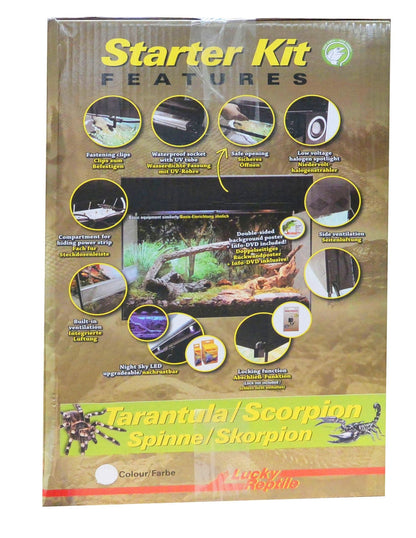 Starter Kit "Tarentule/Scorpion" - Chat - FutéStarter Kit "Tarentule/Scorpion"Lucky Reptile