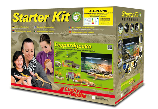 Starter Kit "Leopard Gecko" - Chat - FutéStarter Kit "Leopard Gecko"Lucky Reptile