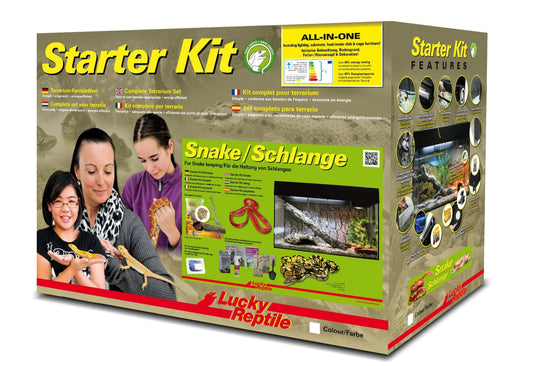 Starter Kit "Snake" - Chat - FutéStarter Kit "Snake"Lucky Reptile