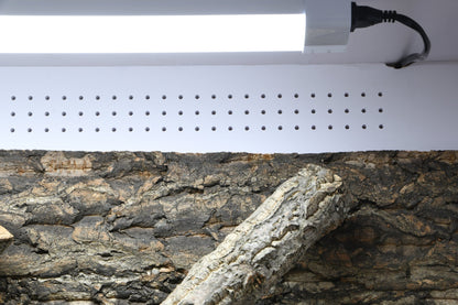 IsoTarrium Basic (lampe non fournis) - Chat - FutéIsoTarrium Basic (lampe non fournis)TerrariumLucky Reptile