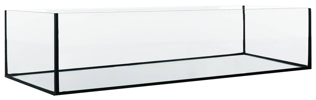 Aquavie - Aquarium Bas - 60x30x20 cm - 36L - Chat - FutéAquavie - Aquarium Bas - 60x30x20 cm - 36LAquariumAquavie