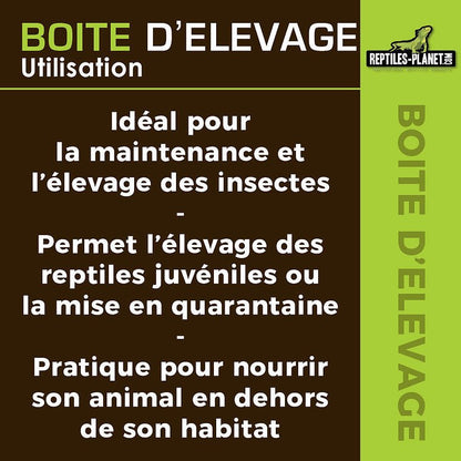 Boîtes d'Élevage - Taille XS, S, M, L - Chat - FutéBoîtes d'Élevage - Taille XS, S, M, LTerrariumReptile Planet