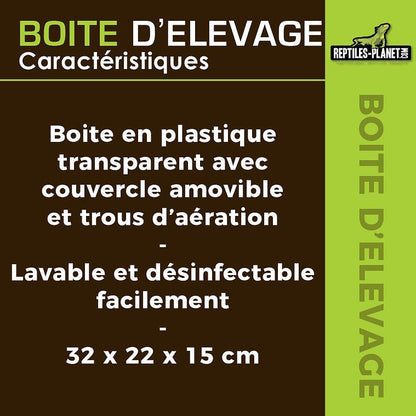 Boîtes d'Élevage - Taille XS, S, M, L - Chat - FutéBoîtes d'Élevage - Taille XS, S, M, LTerrariumReptile Planet